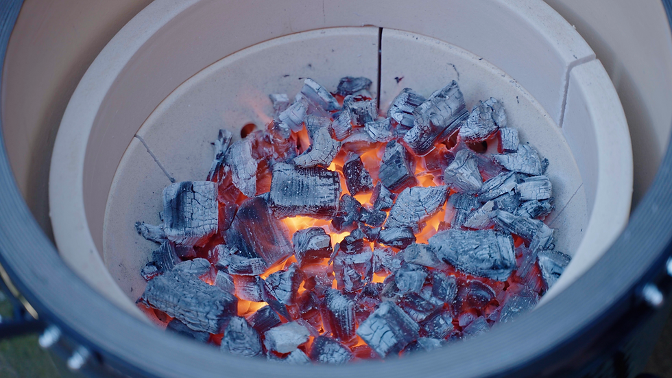 Come scegliere un buon carbone per il Barbecue