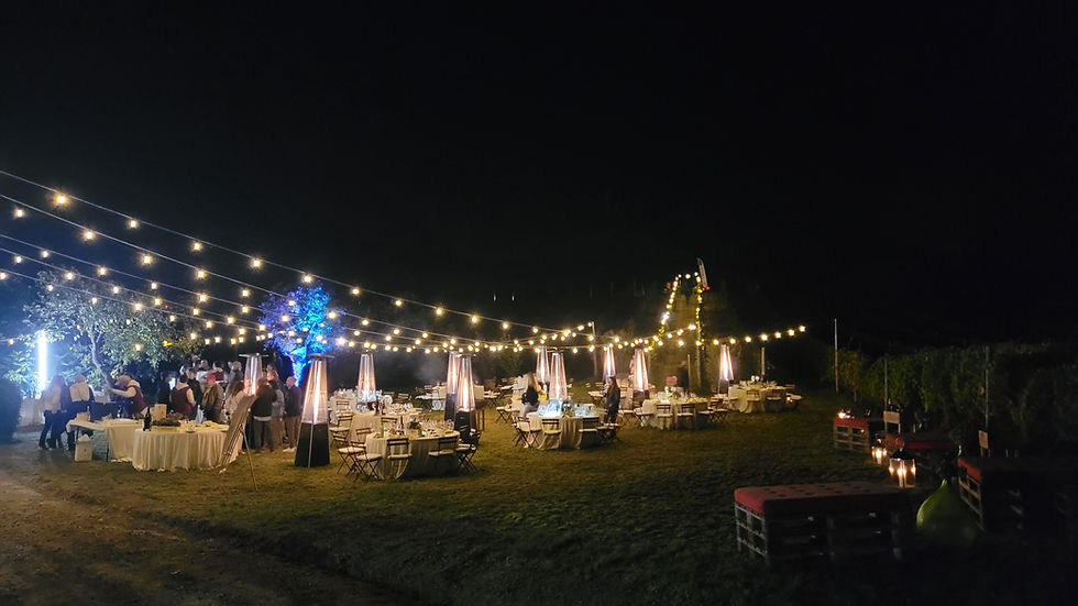 Festa di fine vendemmia