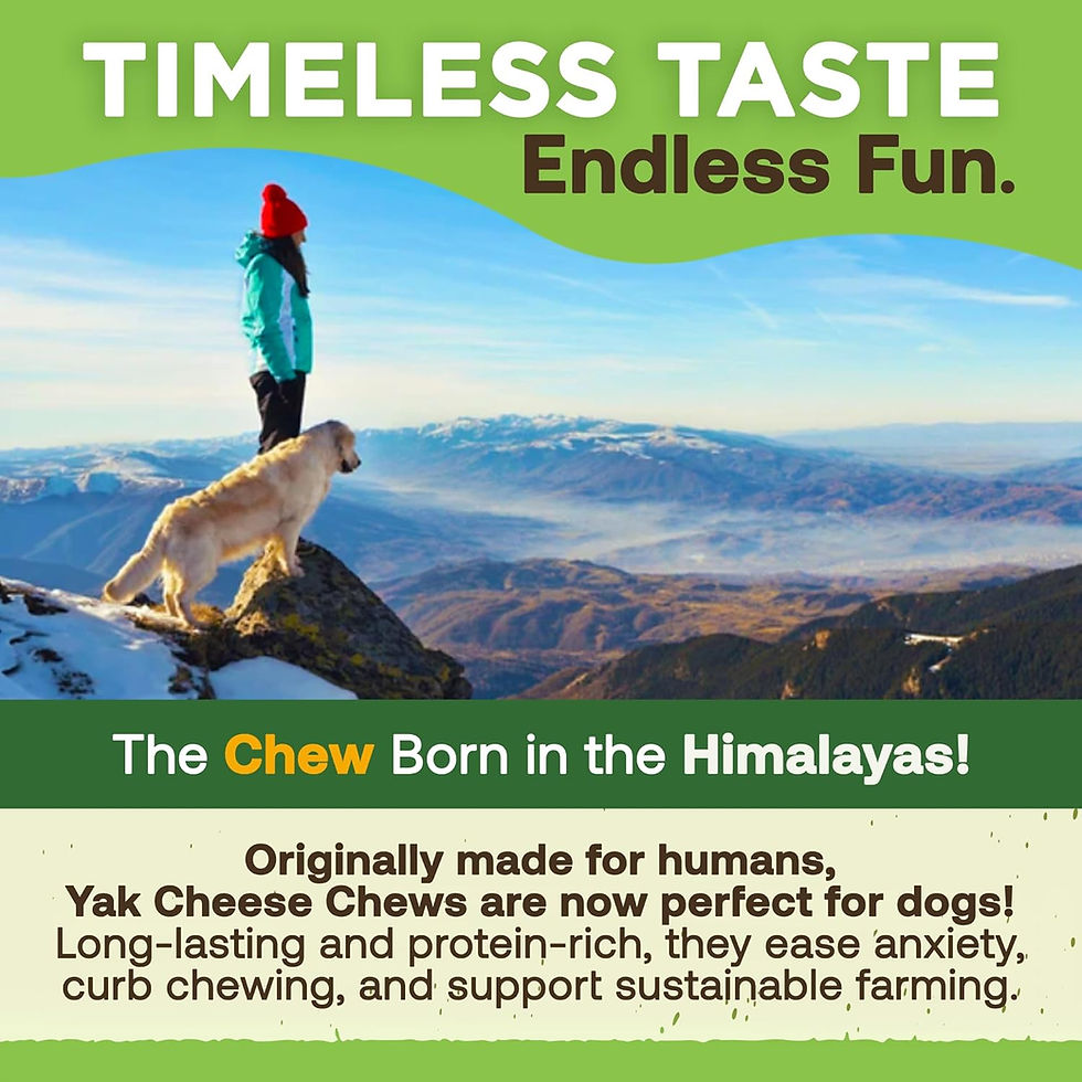 Miniatura: Gold Yak Chews for Medium Dogs (3 Medium Sized Che