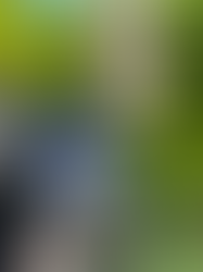 Ready to Have a Spooktacular Vacation?