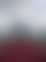 Disney News For You 04.19.2023