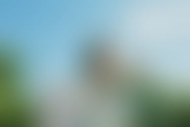 Interview with 'Get Out Loudoun'