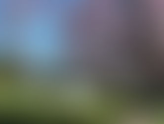 Das GROSSE Ehlscheid Kurpark-Quiz für Kinder