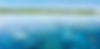 Asset 9.png