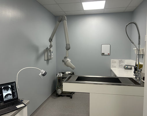 Dental and Dental X-ray room