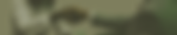 contact-banner.png