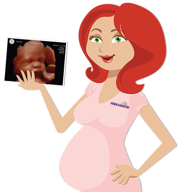 3D 4D 5D Ultrasound Virginia Peek A Boo 3D United States