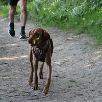 IMG_5441.JPG