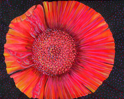 Poppy Girls