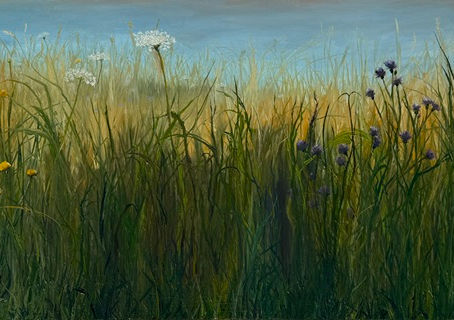 A Studio full of Meadow Grasses