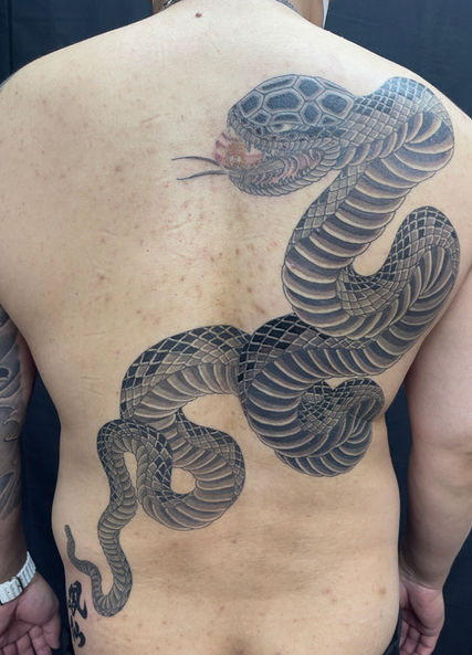 蛇背中