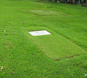 lawnlot.jpg