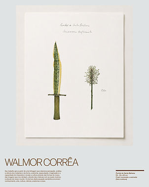 walmor.jpg