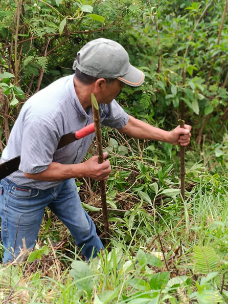 WhatsApp Image 2025-07-18 at 16.50.55.jpeg