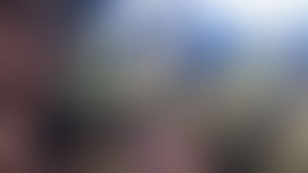 #ps: Felsenwald-Premiumweg