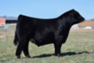 Ratliff Killin Time ET