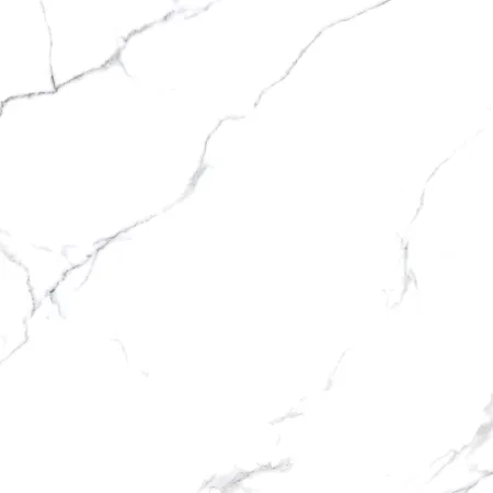 Staturio-Nova-80x80-1.webp