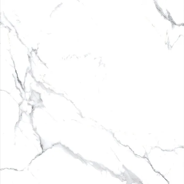 Staturio-Nova-60x60-1.webp