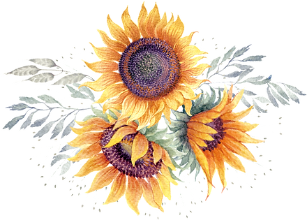 sunflower 2.png