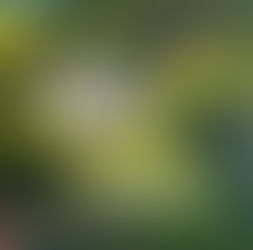 Finalist for Local Contemporary Art Prize, Sunshine Coast!