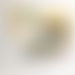 Artist Profile: Anne-Sophie Tschiegg