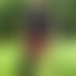 The Best Tent Weights Built for All Weather — the Last Ones You'll Ever Buy