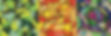 IMG_3424.jpeg