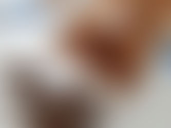 First day with puppies!