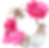 Round teddy backdrop in pink