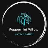 Color logo with background.png