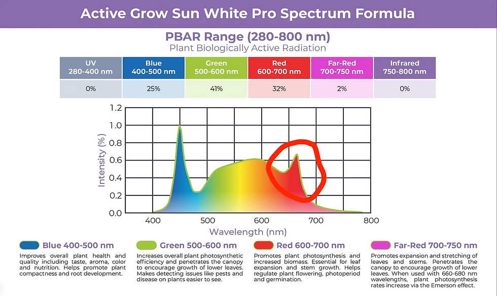 LED Grow Light Comparison SunBlaster vs Active Grow