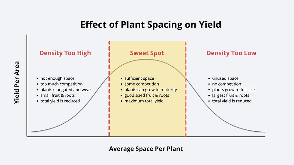 A classic bell curve describes the relationship between spacing and yield.