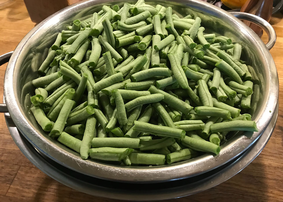 beans for blanching