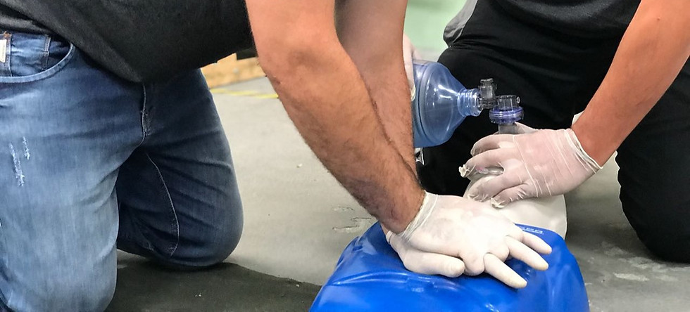 Imagem do treinamento