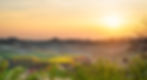 00_Piemont_Barbaresco_Abendstimmung_Flyer_Bild.jpg