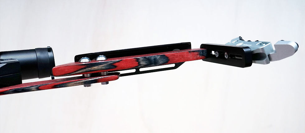 Diana LP8 Custom Hinterschaft