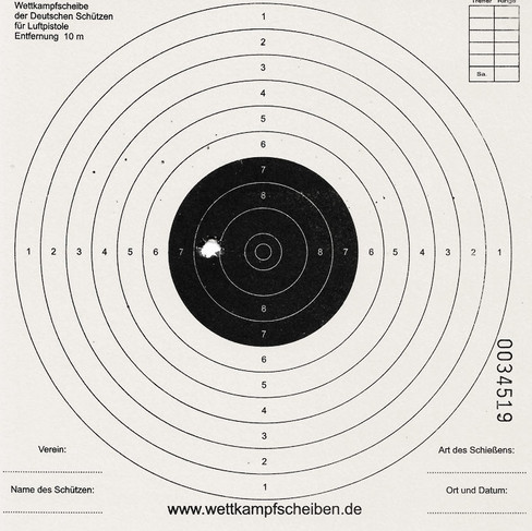 Diana 75 S T01 10 Schuss auf 10m