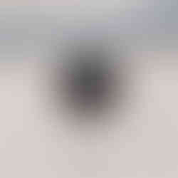 16 Schuss auf 10m zweihändig frei Single Action