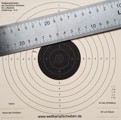 Feinwerkbau 601 auf 10m