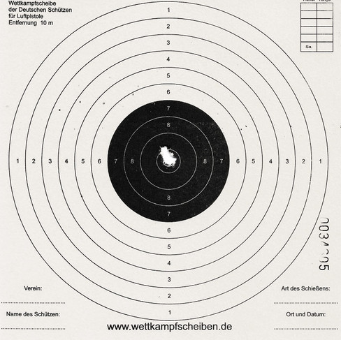 Stoeger XM1 S4 10 Schuss auf 10m