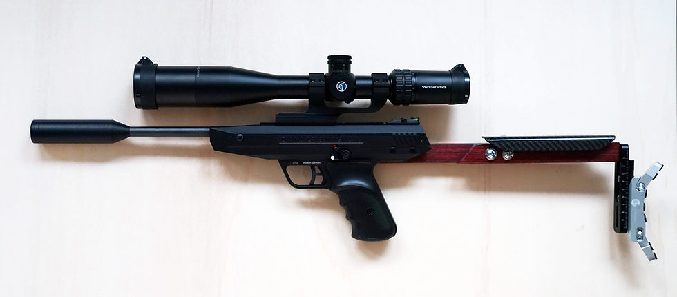 Diana LP8 Custom Profil