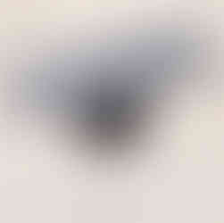 Diana 56 TH im Test auf 10m