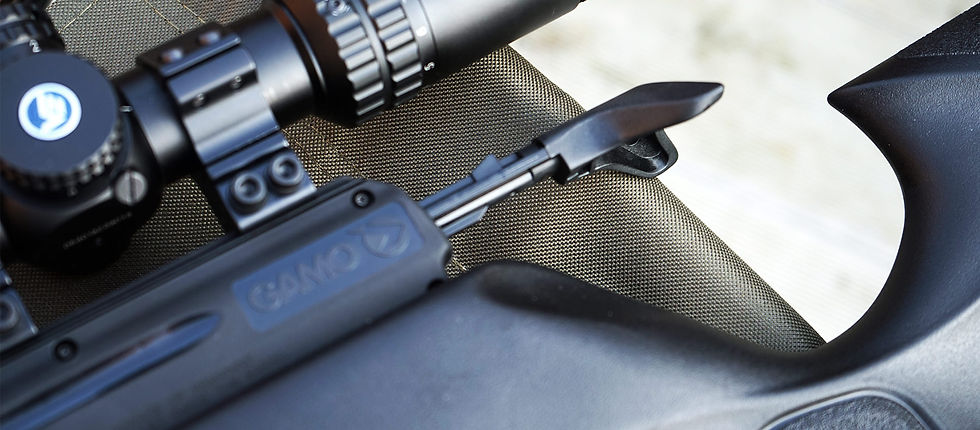Gamo Arrow Repetierhebel