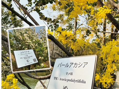 園芸ネームプレート発売!