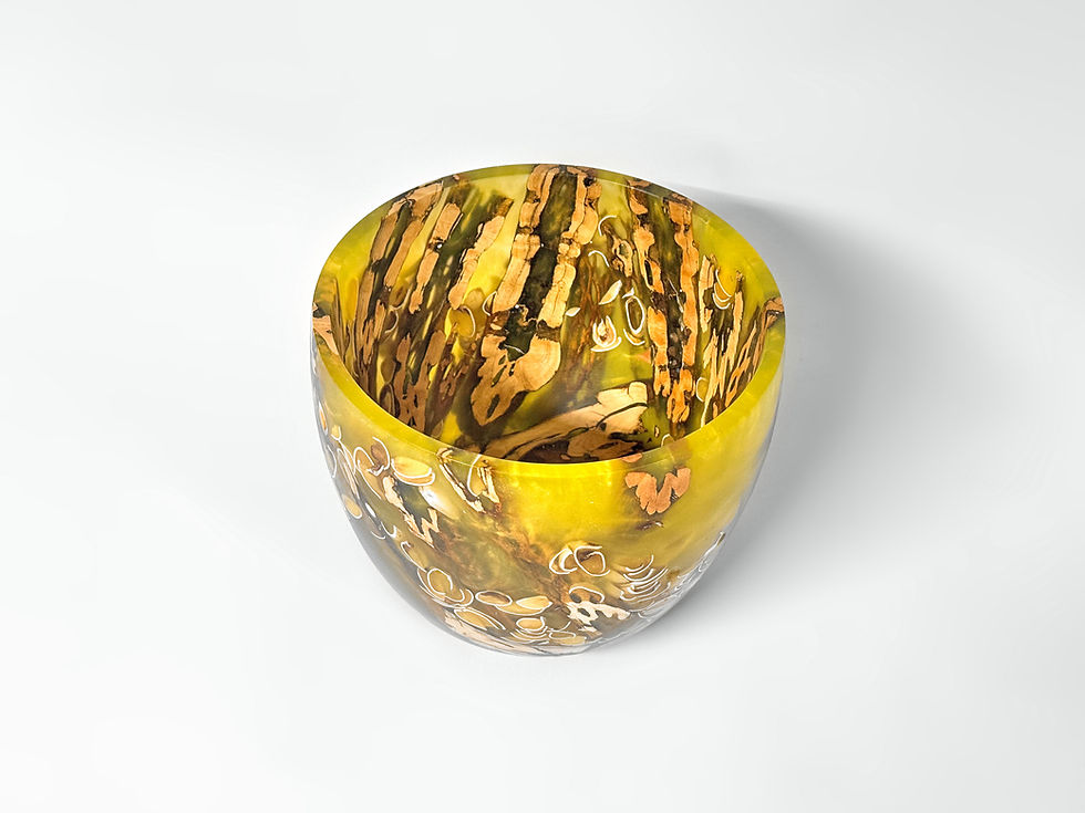 Thumbnail: Golden Melody - Cholla Cactus & Pistachio Shells - 7" x 6"