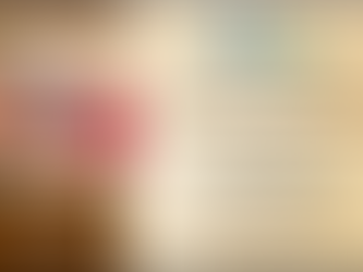 DIÓCESIS PADRE MONTESINOS