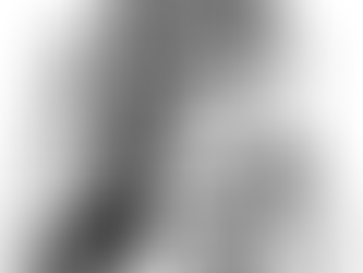 LA COMUNIDAD QUE CELEBRA SU FE Y SU VIDA.