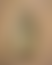 Hoy celebramos a la Virgen de Guadalupe, Emperatriz de América y Patrona de México.