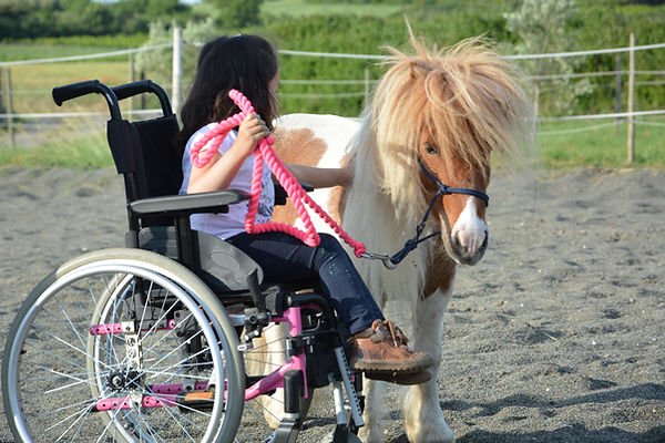poney et équithérapie Montpellier écurie Sonjah