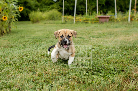 Image by Courtney Cook